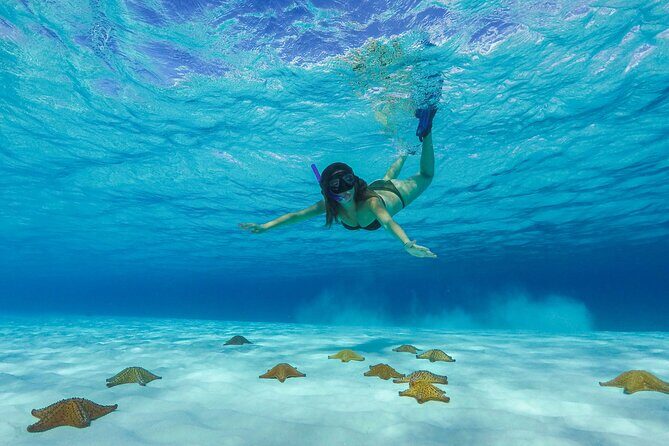 Cozumel Catamaran Snorkel Tour: El Cielo & Palancar with lunch - Exploring the Cozumel Catamaran Snorkel Tour: El Cielo & Palancar with Lunch