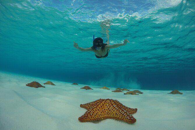 Cozumel Catamaran Snorkel Tour: El Cielo & Palancar with lunch - Final Thoughts