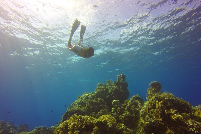 Cozumel Catamaran Snorkel Tour: El Cielo & Palancar with lunch - FAQ
