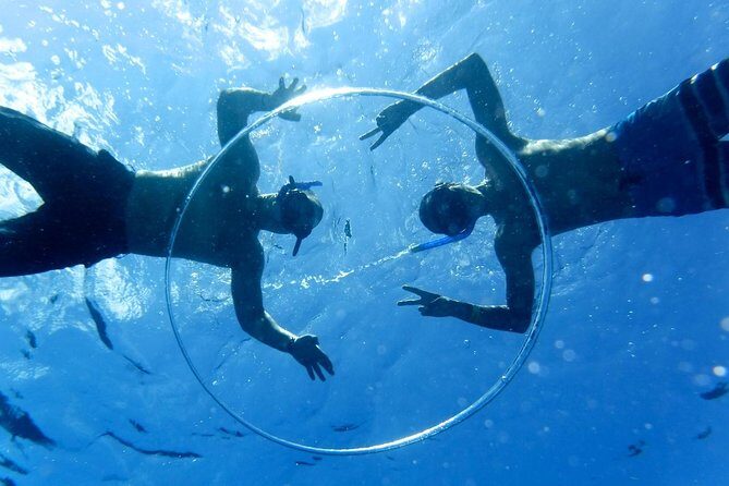 Cozumel Catamaran Snorkeling Tour & lunch® - What to Expect from the Tour