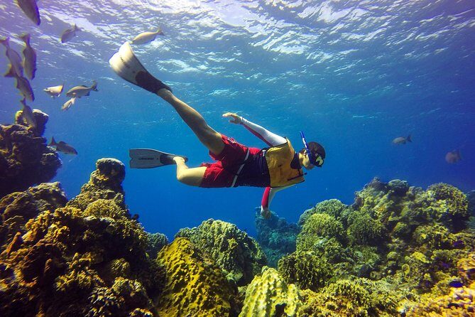 Cozumel Catamaran Snorkeling Tour & Lunch (Hotel Pick Up) - FAQ