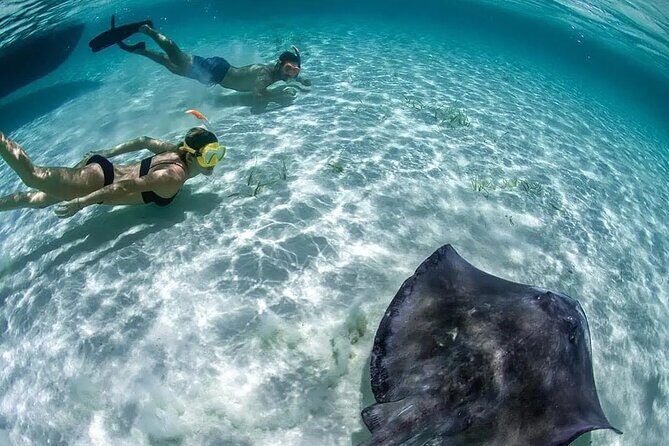 Cozumel Cielo Snorkel Adventure from Cancun and Rivera Maya - Who Would Enjoy This Tour?