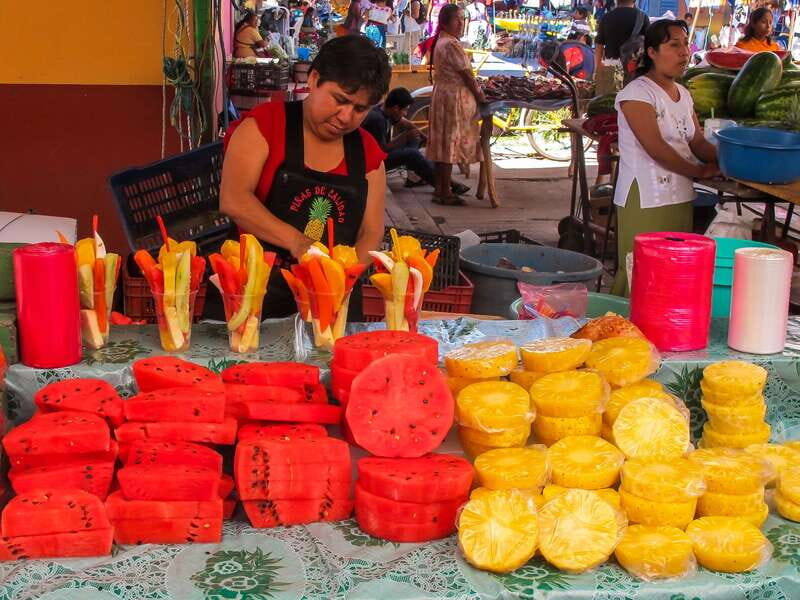 Cozumel City Tour with Lunch - Who Will Love This Tour?
