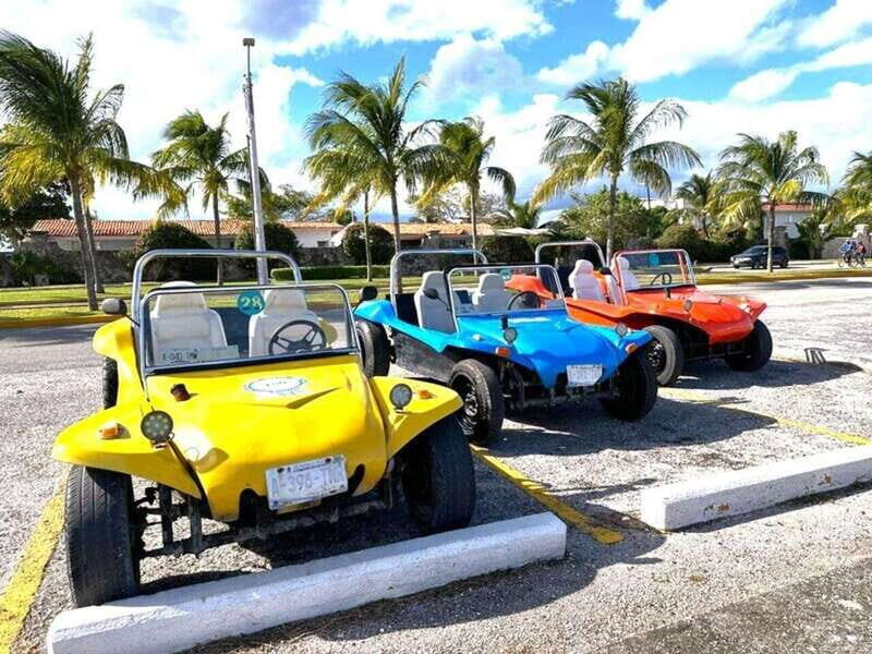 Cozumel: Classic Jeep or Buggy Island Tour to Punta Sur - An In-Depth Look at the Tour Experience