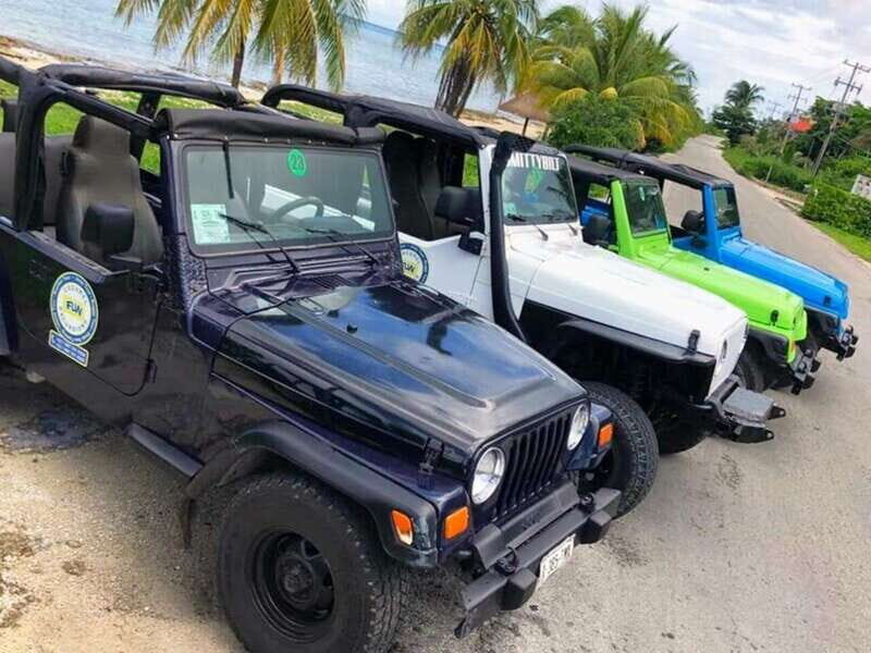 Cozumel: Classic Jeep or Buggy Island Tour to Punta Sur - Practicalities and Considerations