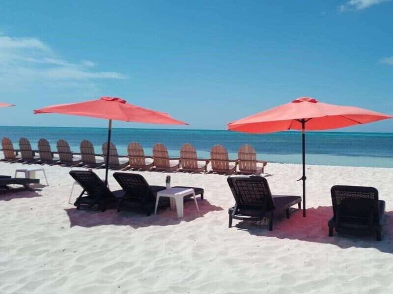 Cozumel: Classic Jeep or Buggy Island Tour to Punta Sur - Who Will Love This Tour?