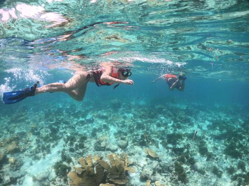 Cozumel: Clear Boat & Snorkel Tour - Who Should Consider This Tour?