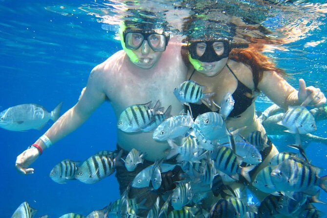 Cozumel Coral Reef Snorkeling by Glass Bottom Boat with Guide - The Boat Ride and Overall Comfort