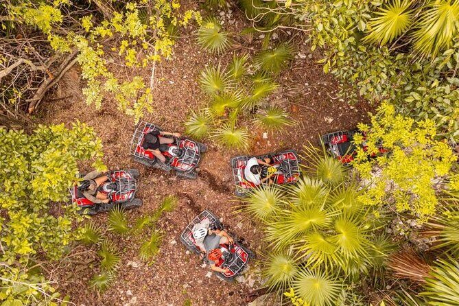 Cozumel: Discover Hidden Gems w/ Private guide - The Sum Up