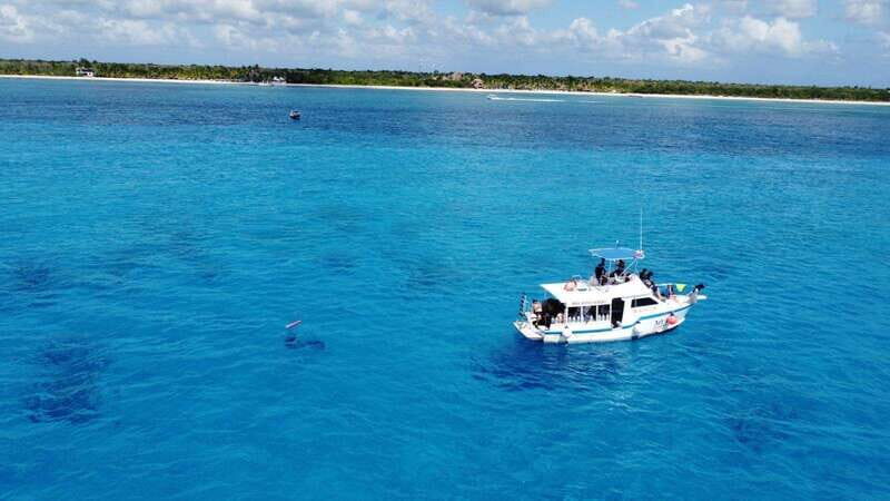 Cozumel: Discover Scuba Diving - Practical Tips for Booking and Enjoying