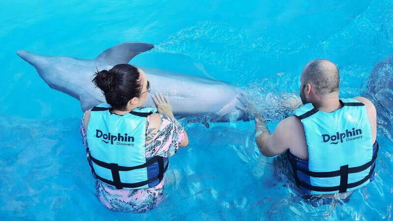 Cozumel: Dolphin Royal Swim and Manatee Interaction - The Experience in Detail