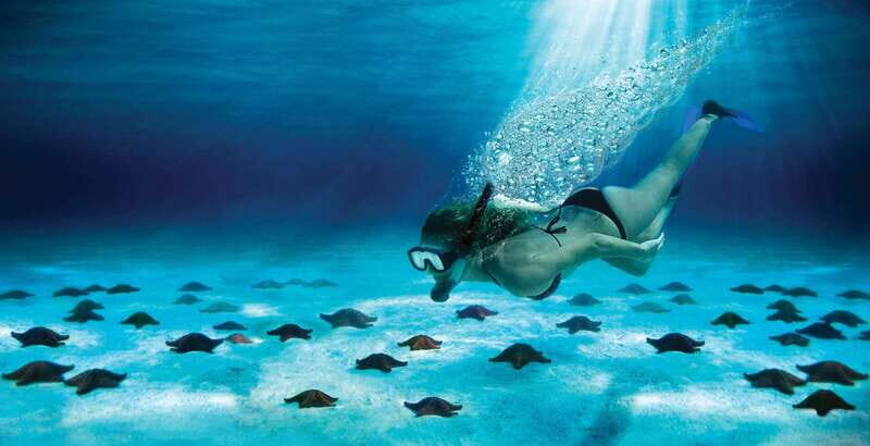 Cozumel: El Cielo & Palancar Snorkel with Open Bar & Ceviche - Why Consider This Tour?