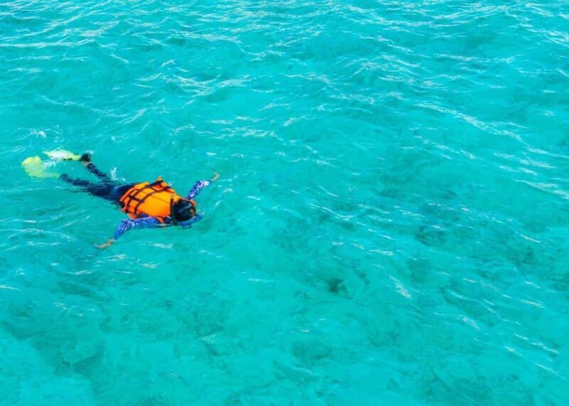 Cozumel: El Cielo & Reef Private Boat Tour with Snacks - The Itinerary in Detail