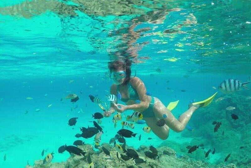 Cozumel El Cielo Sandbar and Reef Snorkeling Tour - Who Should Book This Tour?