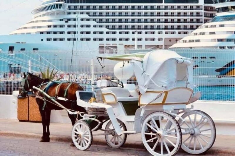 Cozumel: Electric Carriage Tour - Key Points