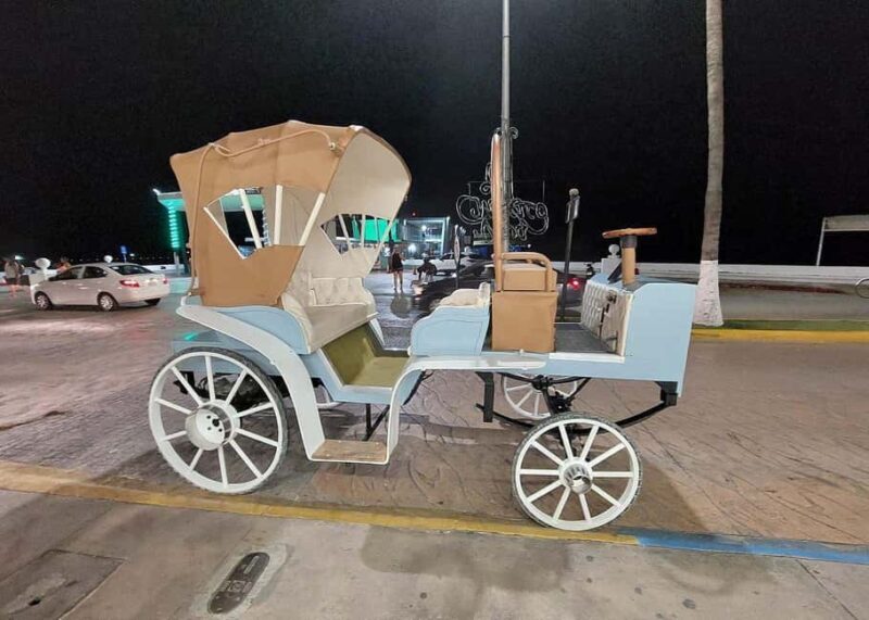 Cozumel: Electric Carriage Tour - Who Is This Tour Best For?