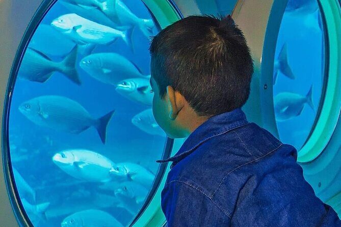 Cozumel EN Submarine Tour from Cancun or Playa del Carmen - Sources