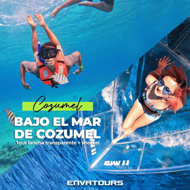 Cozumel: Excursion Crystal Boat Tour with Snorkel & Drinks - FAQ