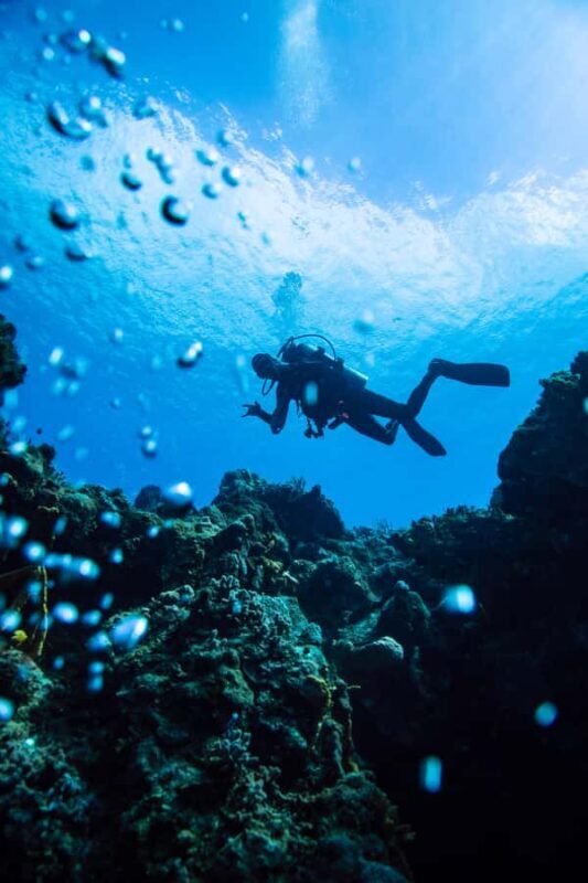 Cozumel: Fun Dive Adventure for Certificates - Who Should Consider This Tour