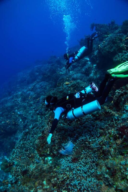 Cozumel: Fun Dive Adventure for Certificates - FAQ