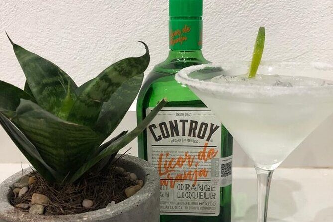 Cozumel!! Guacamole And Margarita Fiesta!!! ( Virtual Experience) - The Downsides