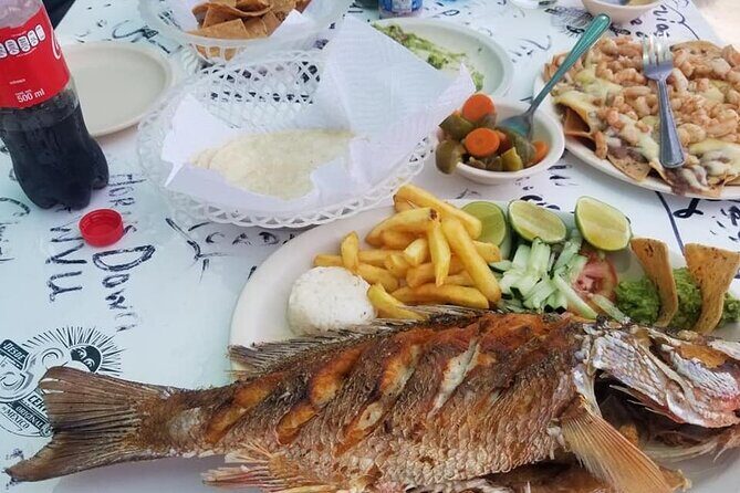 Cozumel Island Tours - What to Expect from the Tour