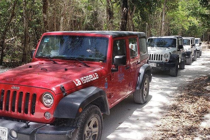 Cozumel Jeep Adventure to Jade Caverns with Lunch and Snorkel - Who Will Love This Tour?