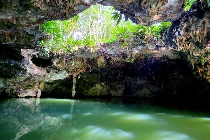 Cozumel Jungle ATV Tour Adventure and Caverns with transfer - Key Points