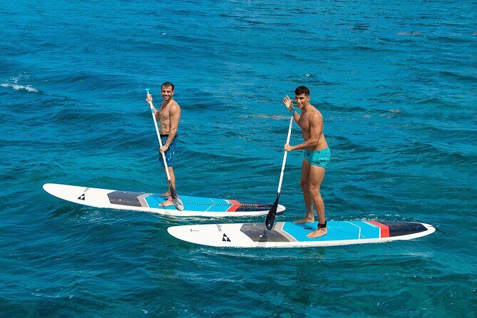 Cozumel Luxury Sailing & Snorkeling with Lunch and Open Bar Onboard - Price and Value: Is It Worth It?