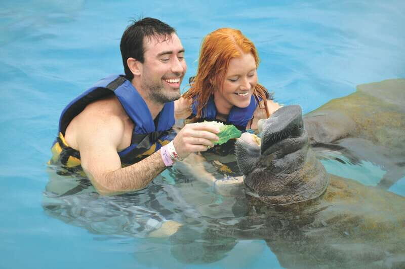 Cozumel: Manatee Encounter, Chankanaab Admission and Buffet - What is the Cozumel Manatee Encounter Experience Really Like?