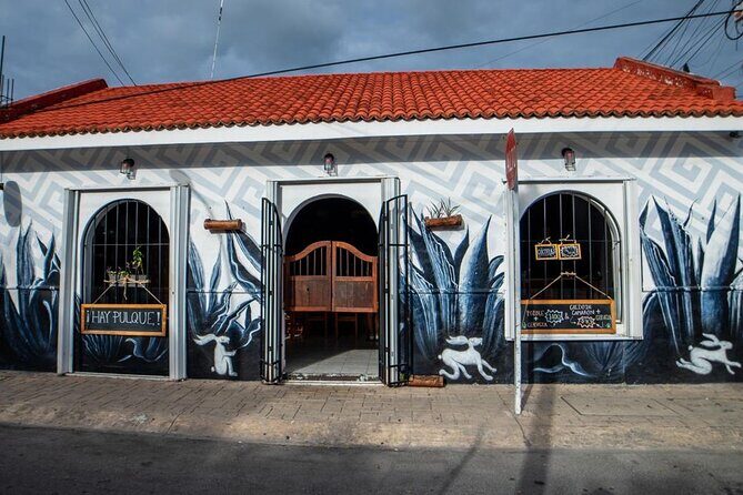 Cozumel Mezcal Masterclass and Gourmet Experience - Authentic Feedback and Insights