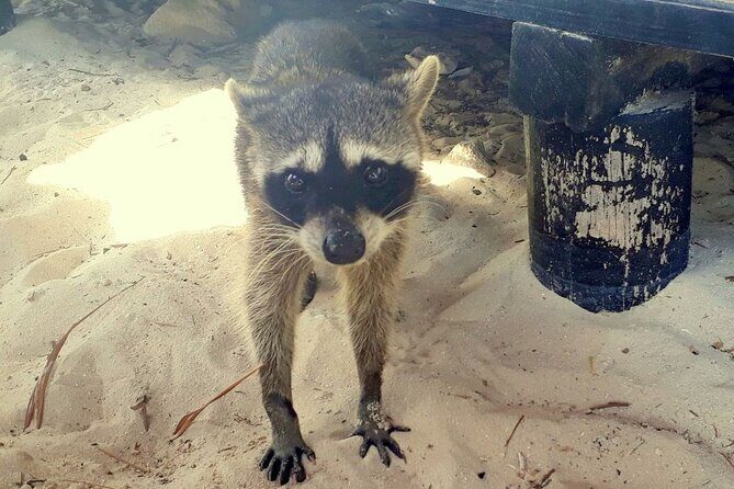 Cozumel National Park and Beach Break: Private Tour - FAQ