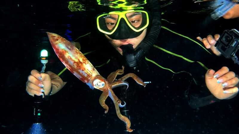 Cozumel: Night Snorkel Adventure - FAQs