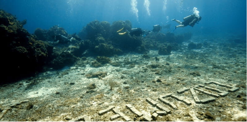 Cozumel: Ocean Dive - The Experience: Pros and Cons