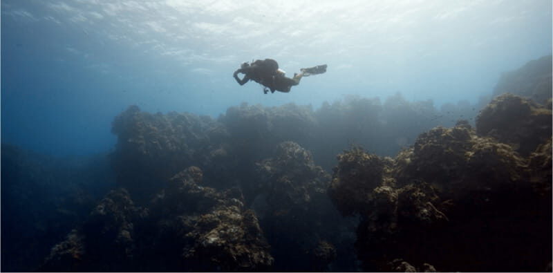 Cozumel: Ocean Dive - FAQ