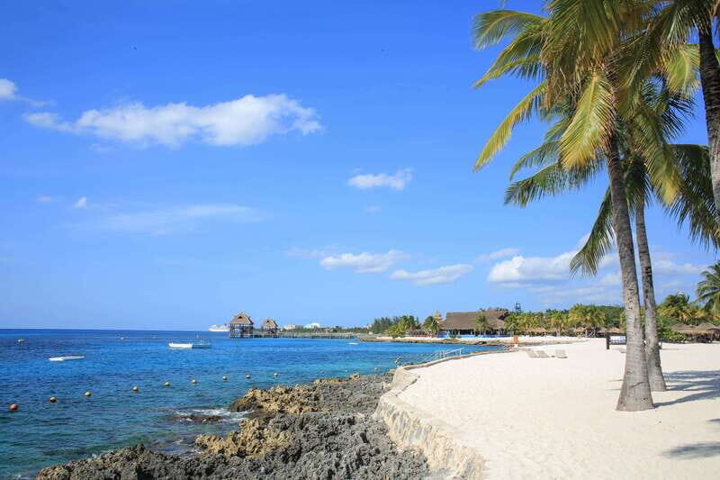 Cozumel: Official Chankanaab Park and Snorkeling with Lunch - The Bottom Line: Who Is This Tour Best For?