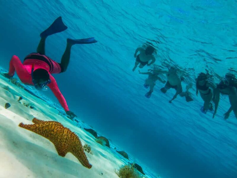 Cozumel: Palancar, Columbia and Cielo Reefs Snorkeling Tour - The Reef Stops: What You’ll See