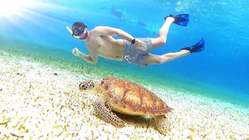 Cozumel: Palancar, Columbia and Cielo Reefs Snorkeling Tour - The Experience on the Water