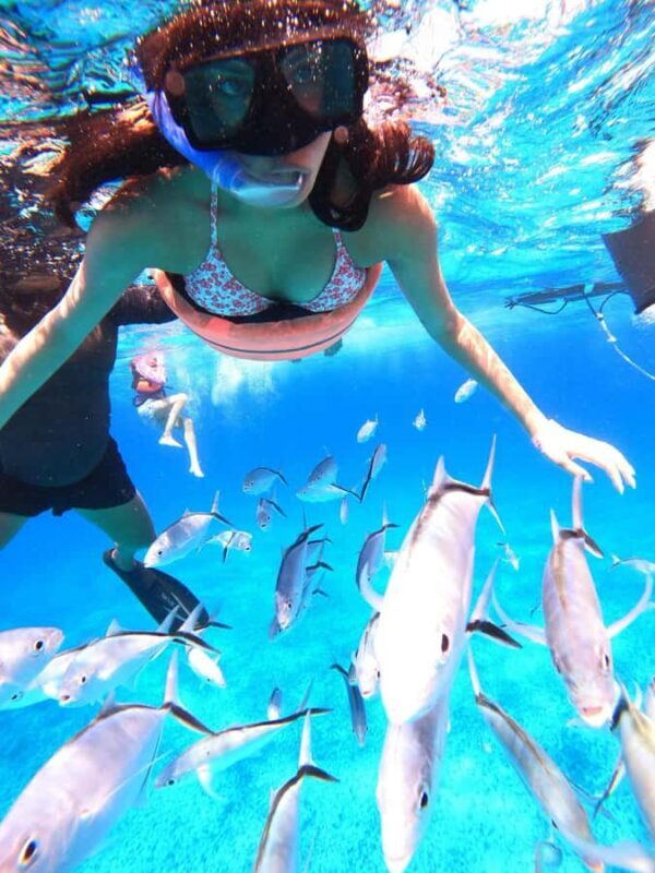 Cozumel: Palancar, Columbia and Cielo Reefs Snorkeling Tour - Detailed Breakdown: The Itinerary and What to Expect