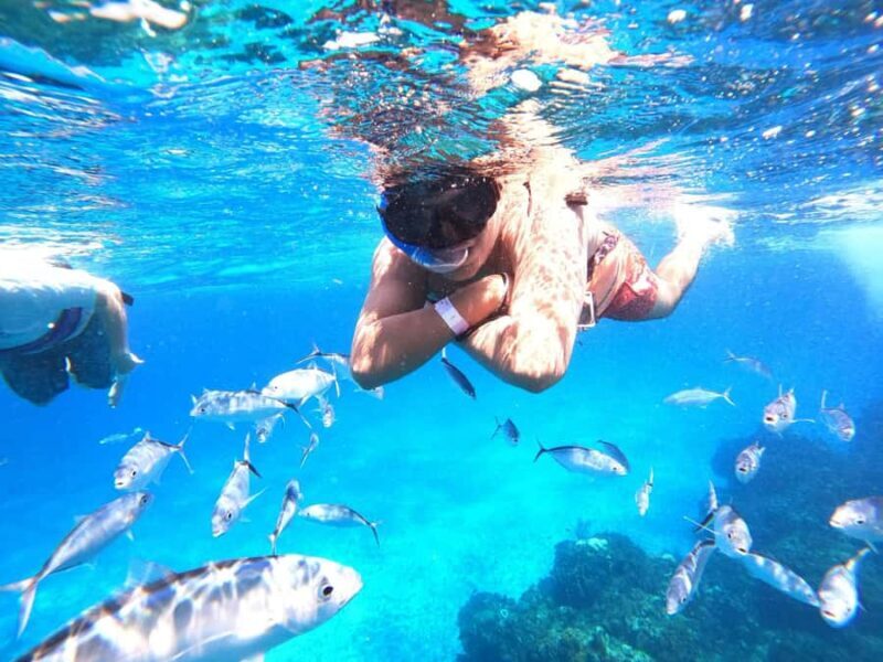 Cozumel: Palancar, Columbia and Cielo Reefs Snorkeling Tour - The Pros and Cons