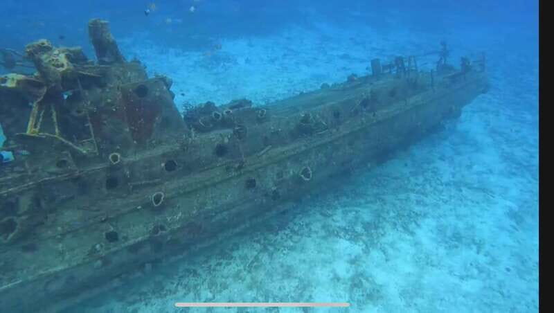 Cozumel, Passion Island: 4-Hour Private Tour - Cozumel, Passion Island: 4-Hour Private Tour – A Deep Dive