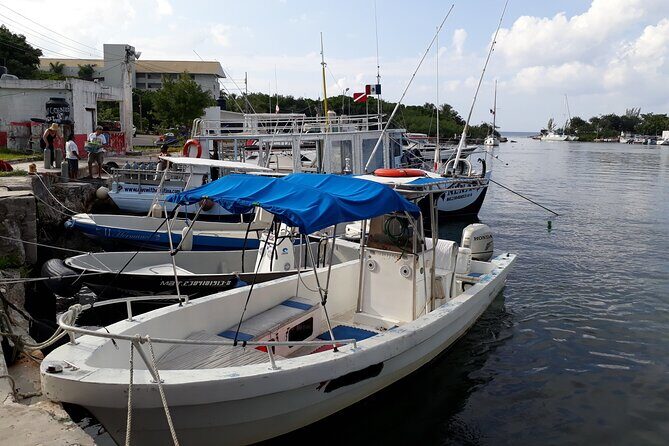 Cozumel Private 4-Hour Boat Tour to Passion Island - The Sum Up