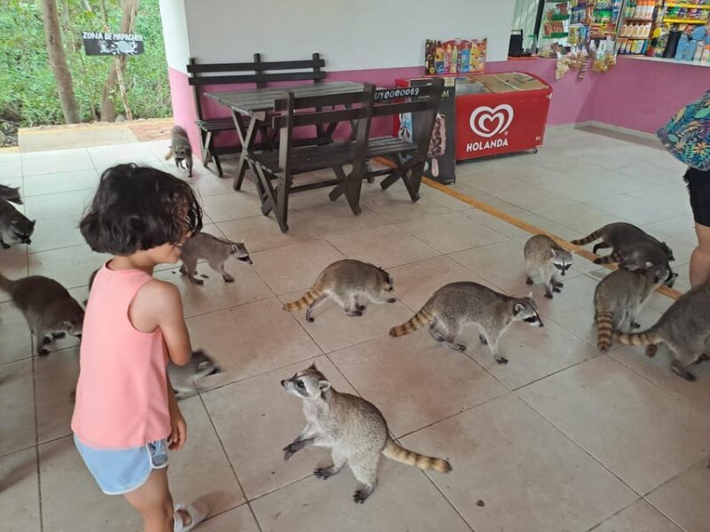 Cozumel: Private Car, Driver & Certified Tour Guide - The Real Value of This Experience