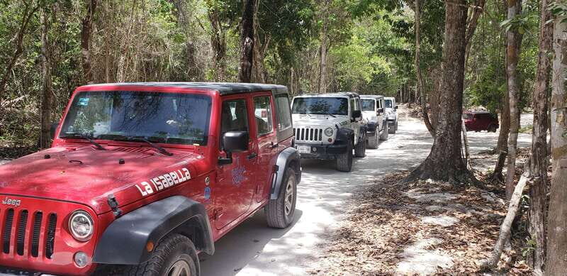 Cozumel: Private Jeep Tour Shore Excursion - What the Reviews Say