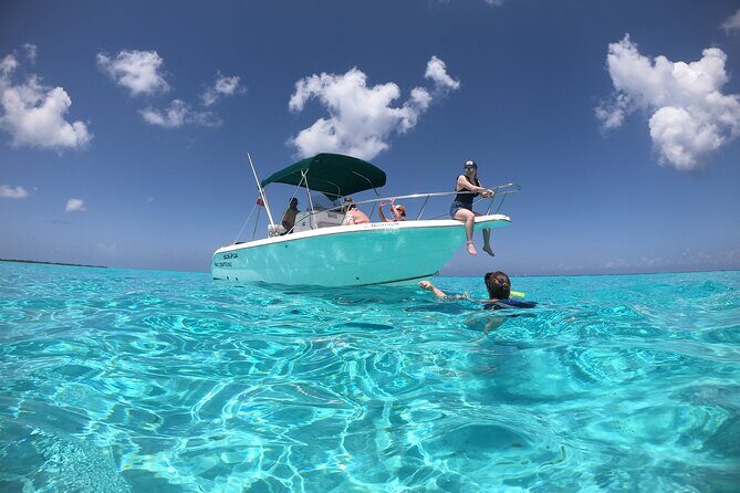 Cozumel Private Snorkeling and Charter Experience - Why Choose the Cozumel Private Snorkel Experience?