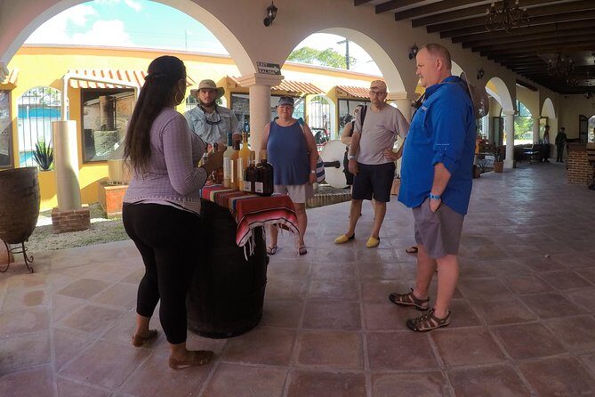 Cozumel Private Van Service with Snorkel Tour - Who Is This Tour Best For?