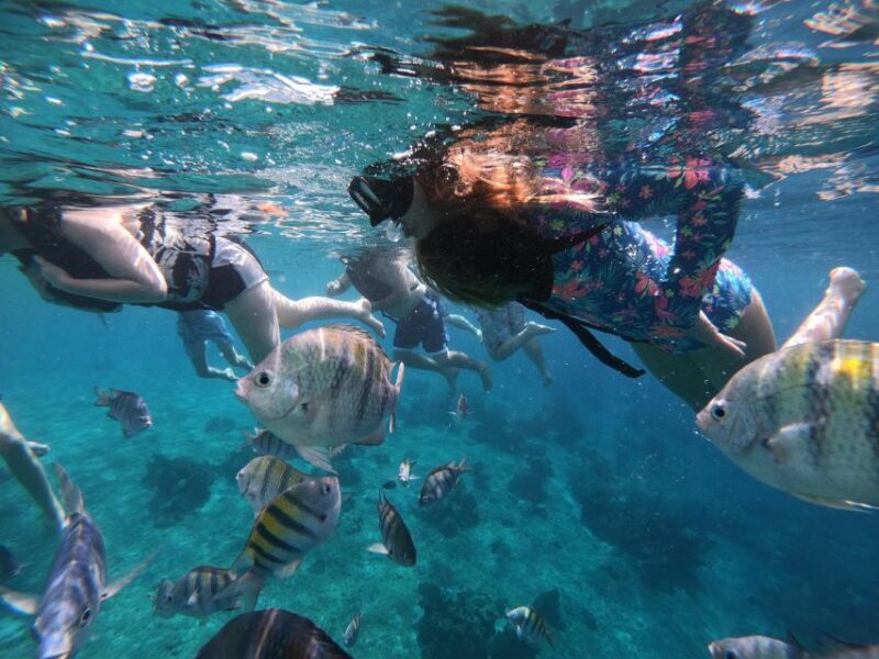 Cozumel: Private VIP Glass Bottom-Boat and Snorkeling Tour - The Experience from the Reviews