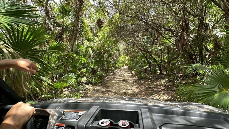Cozumel: Private Xrail Buggy Adventure to Virgin Beach - Key Points