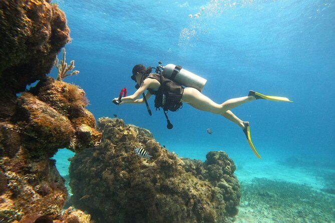 Cozumel Scuba Dive at Chankanaab - Key Points