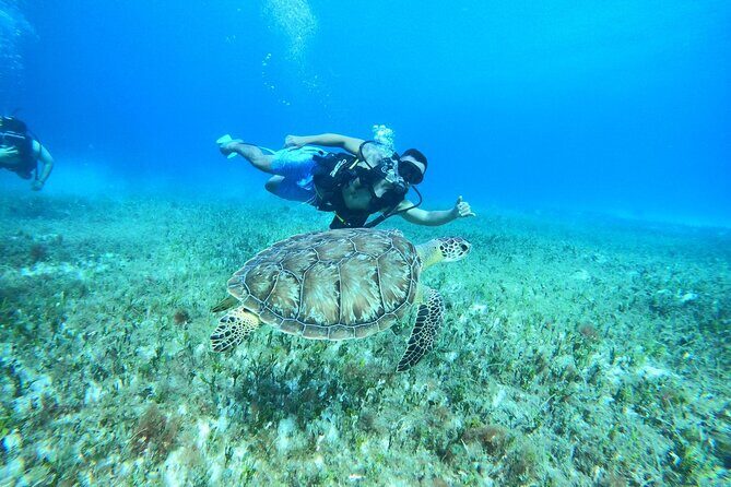 Cozumel Scuba Dive at Chankanaab - Who Should Consider This Tour?